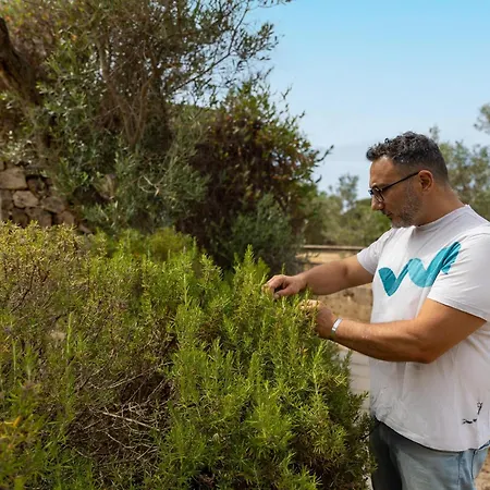 Trullo Macchie Διαμέρισμα